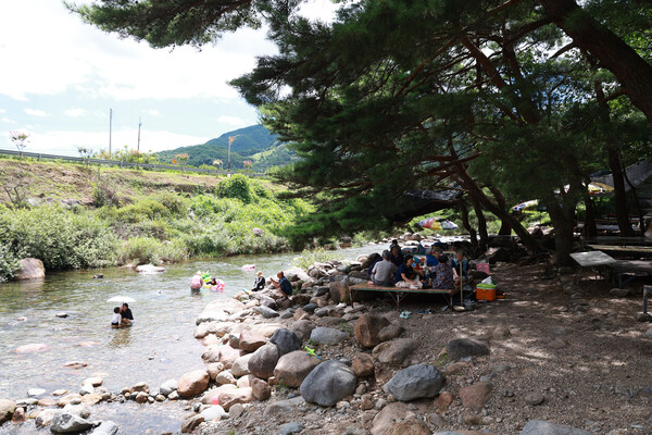 산청군 대포숲 전경. /산청군