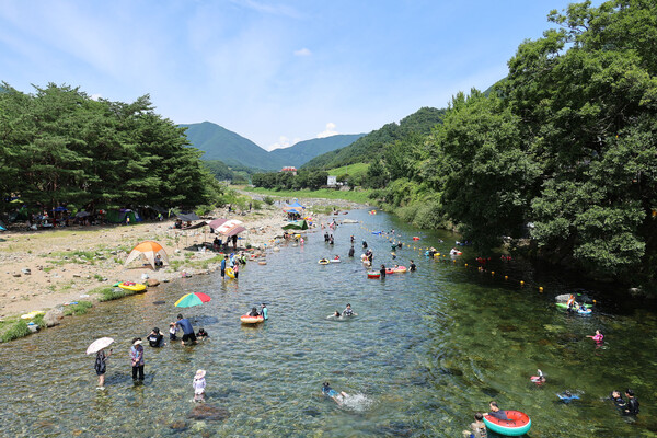 산청군 송정숲 전경. /산청군