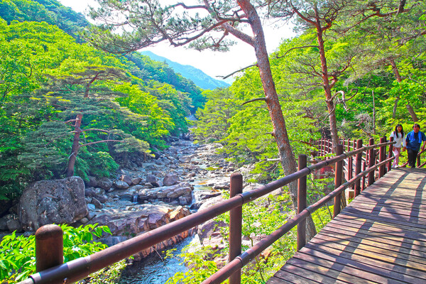 산청군 대원사 계곡 전경. /산청군