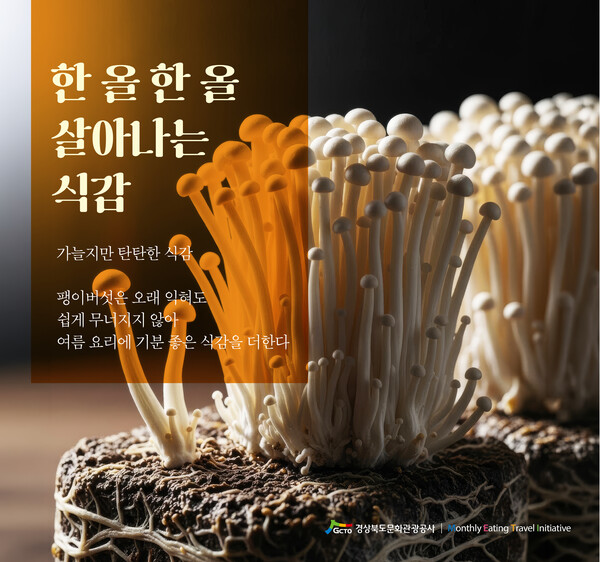 경상북도문화관광공사 미식 콘텐츠 'METI(Monthly Eating Travel Initiative)' 8월호 표지. 사진=경북문화관광공사(포인트경제)