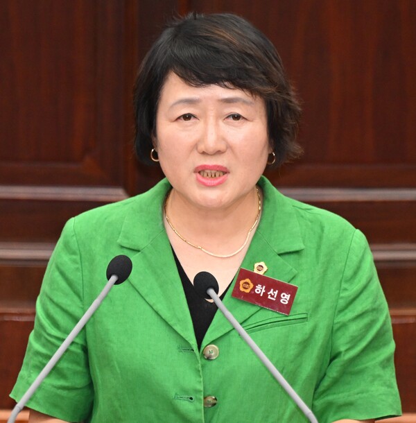 하선영 경남도의원. /경남도의회