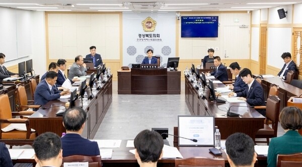 경북도의회 인구정책혁신특별위원회 제2차 인구정책혁신특별위원회 회의 모습. 사진=경북도의회(포인트경제)