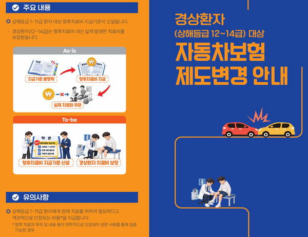 경상환자 대상 자동차보험 제도변경 안내 리플렛 갈무리 /손해보험협회