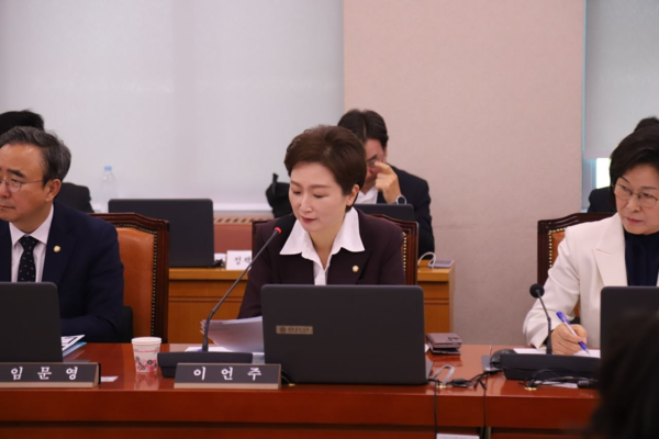 더불어민주당 이언주 의원. /이언주 의원실