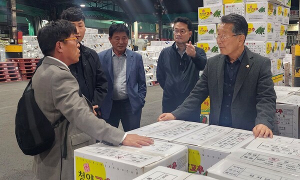지난 26일 손문규 밀양시의장을 비롯한 의원들이 서울 가락동 농수산도매시장에서 전문 도매인들과 대화하고 있다. /밀양시의회